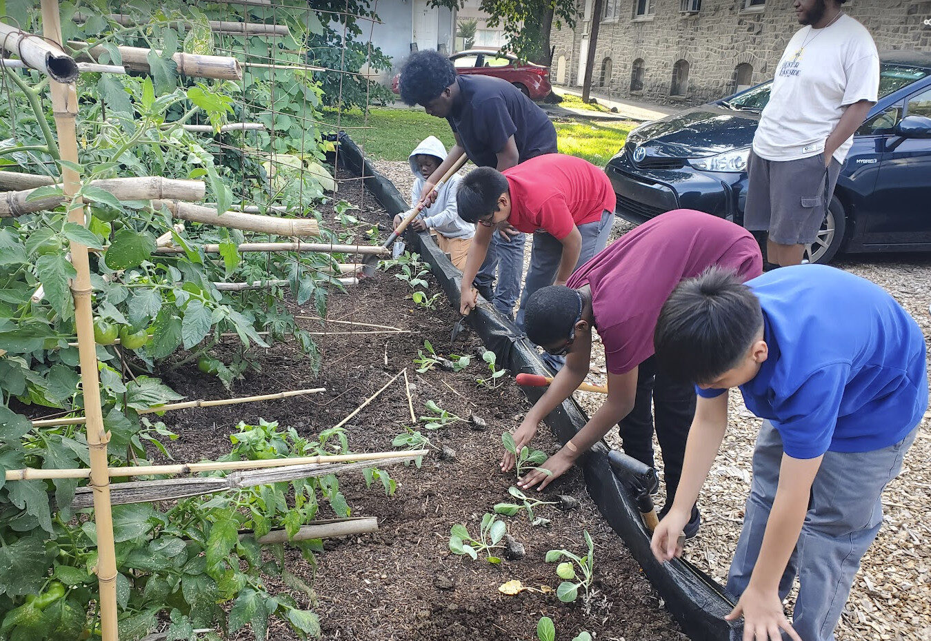 An adult supervising 5 children working in a community garden box